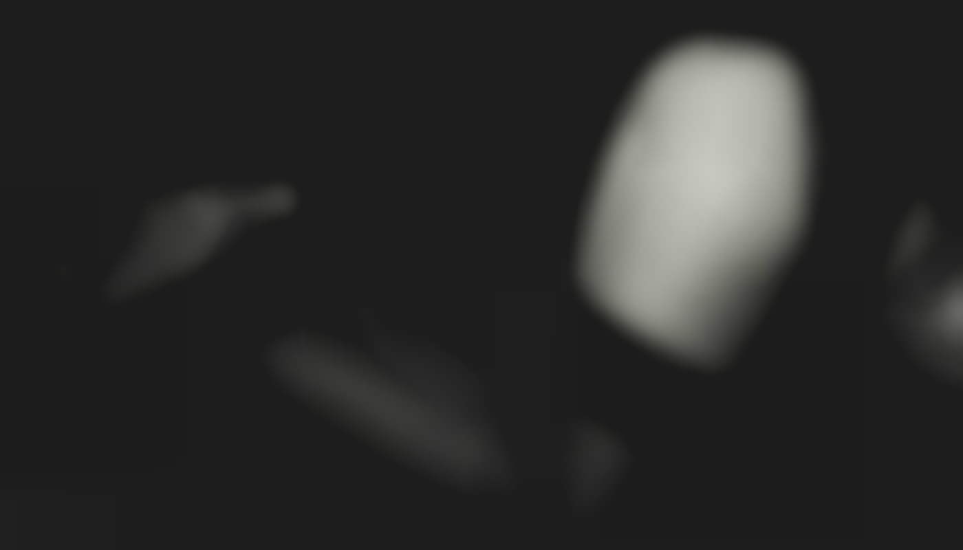 Exploration de l'attrait des numéros de téléphone commençant par 06 pour conversations sensuelles ?