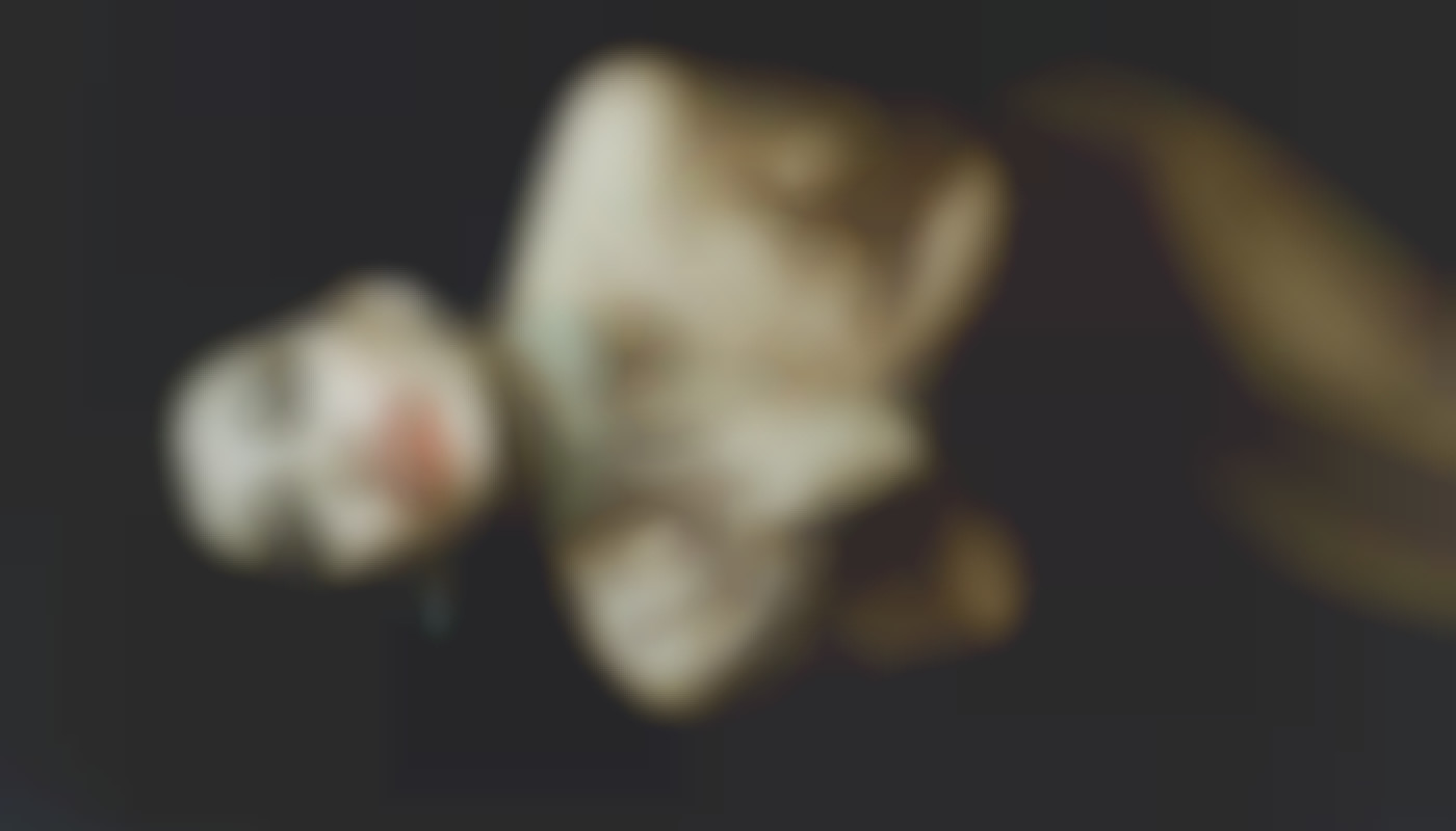 Explorer les innovations en matière de meilleur sex-toy pour homme